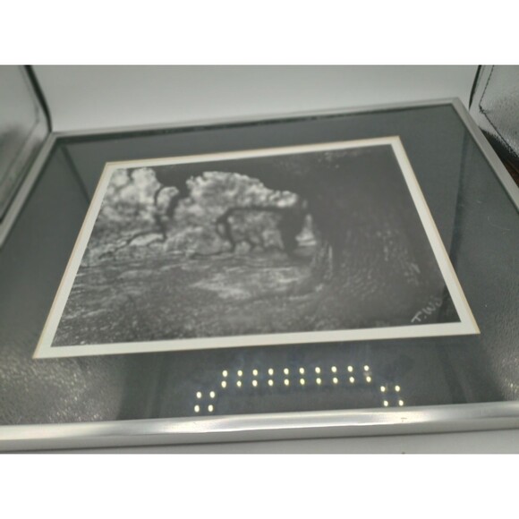 Photographic Art Angel Oak Tree John Island SC By Toni Winn 14.5x11 - Picture 3 of 10